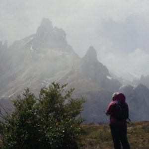 Pietma